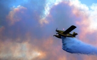 Разрушительные лесные пожары в Португалии приводят к чрезвычайным мерам