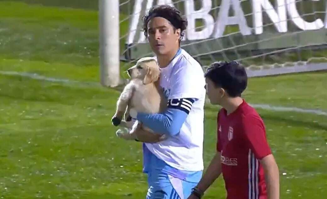 Гильермо Очоа поддерживает усыновление собак во время матча