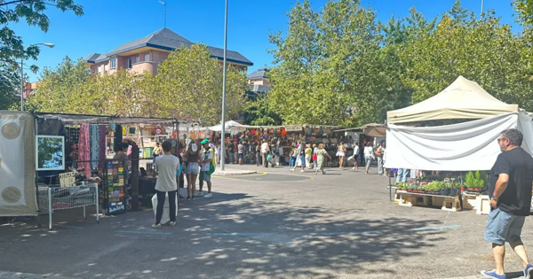 Эвакуация из-за угрозы бомбы в офисе Chega!